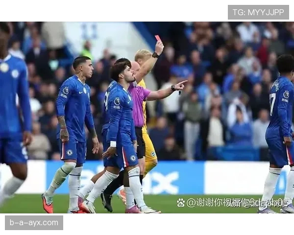 德泽尔比率布莱顿强势崛起，英超新赛季前景引瞩目