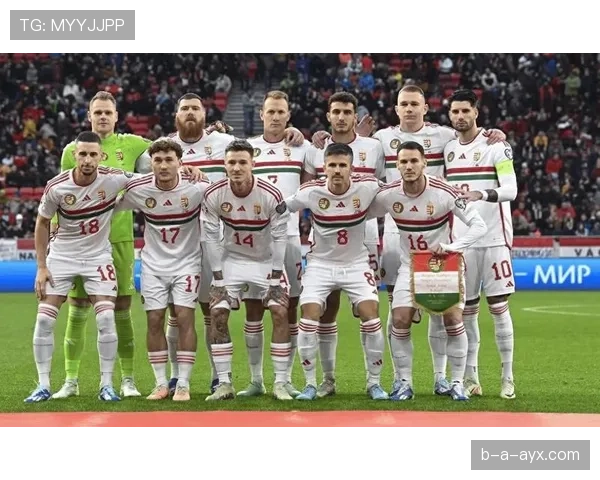 匈牙利队欧洲杯展现黑马本色,顽强斗志撼动传统豪强 匈牙利队欧洲杯展现黑马本色,顽强斗志撼动传统豪强