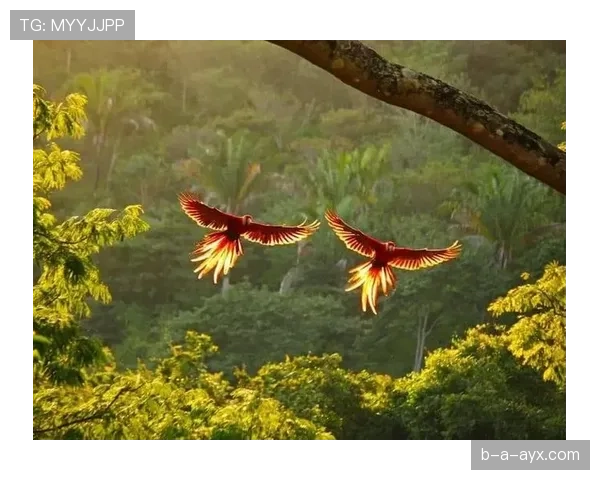 博阿对决燃爆全场:精彩瞬间与震撼进球深度解析 博阿对决燃爆全场:精彩瞬间与震撼进球深度解析