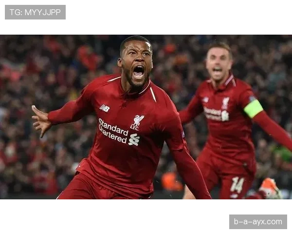 卡马文加：从替补奇兵到关键轮换的跃迁解析